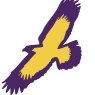 DT Image